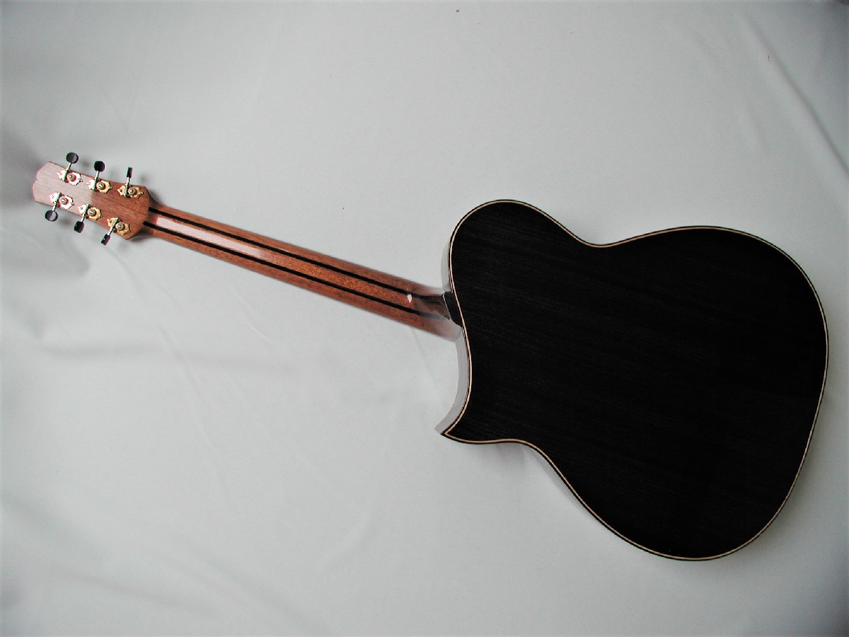 Neck with ebony stripes 